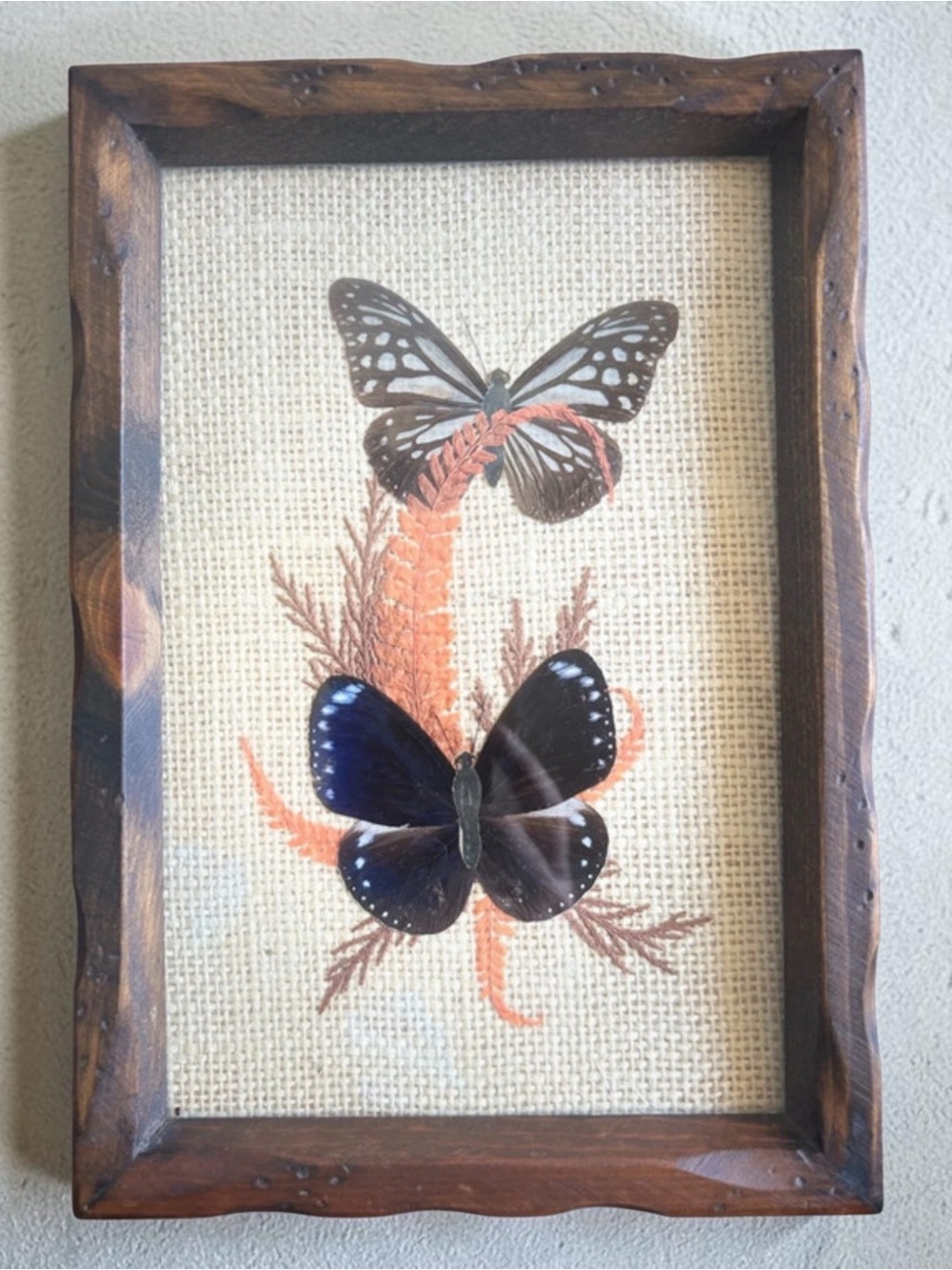 Two Framed Real Butterflies Nature Insects Natural Art Burlap Wood Frame Vintage